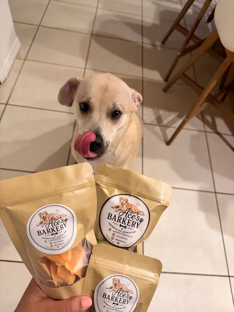 Oliver the dog